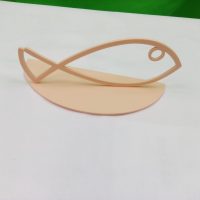 Geldgeschenk Fisch